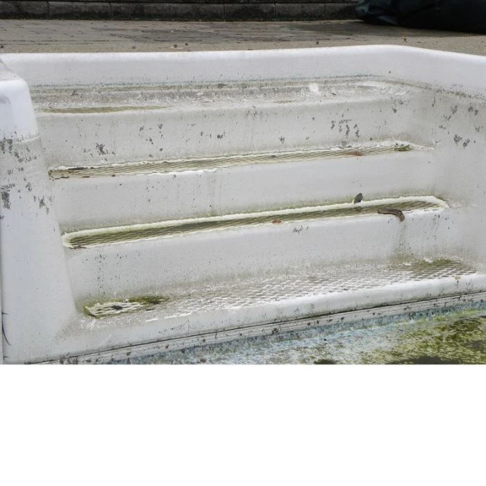 Olympic Step Renew Resurfacing Kits - Image 4