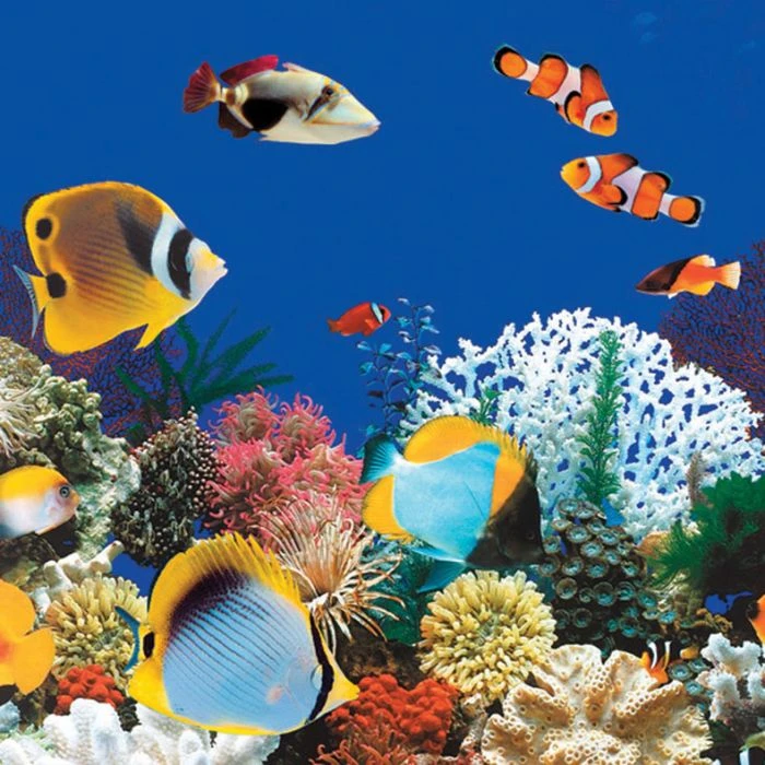 Swimline Beaded Pool Liner, 52 In Wall, 10x15 Ft Oval, 20 Gauge, Caribbean - Image 2