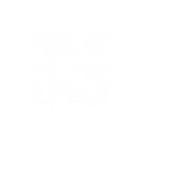 SR Smith Frontier III Diving Board, 12 Ft, White